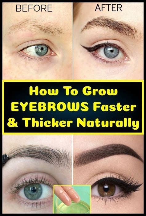 How To Grow Eyebrows Faster & Thicker Naturally | Kesehatan | How to ...