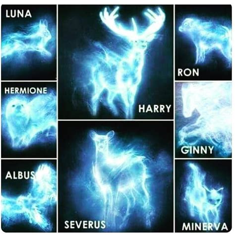 The patronus charm . . #patronus #charm #harrypotter #lilypotter # ...