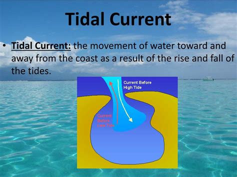 PPT - Movements of the Ocean PowerPoint Presentation, free download - ID:3034621