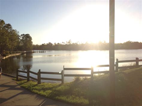 Forest Lake, Brisbane, Queensland, Australia | Forest lake, Travel, Lake