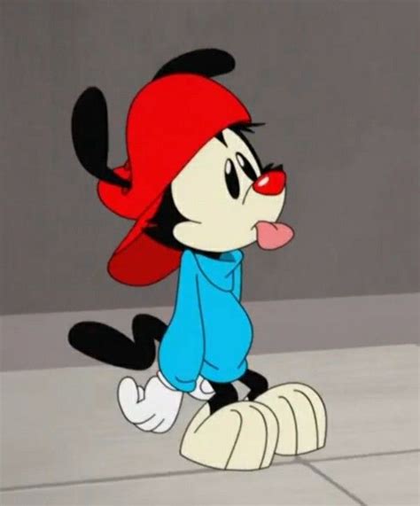 Wakko Warner | Animaniacs | Animaniacs, Wakko, Cartoon