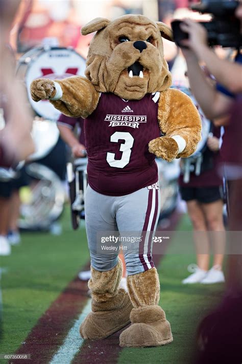 Bully, the mascot of the Mississippi State Bulldogs cheers on his ...