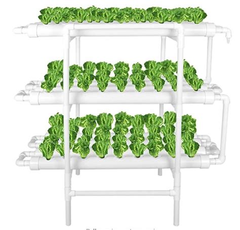 Large Hydroponic Kit - Hydroponic Kits NZ