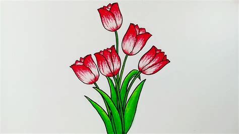 Menggambar bunga tulip || Cara menggambar dan mewarnai bunga yang mudah ...