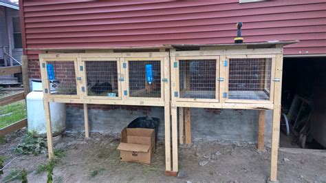 50 DIY Rabbit Hutch Plans to Get You Started Keeping Rabbits