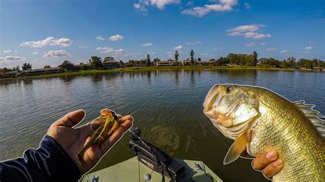 Fishing a Grassy Lake In Central Florida, Bass Fishing at The Chain of Lakes (Winter Haven, FL ...