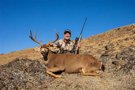 The Ranking Of Versatile Big Game Rifles - Petersen's Hunting