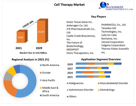 Cell Therapy Market: Global Industry Analysis and Forecast (2022-2029)