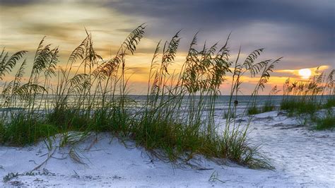 Visit Manatee Beach During Your Vacation | BeachRentals/Mobi