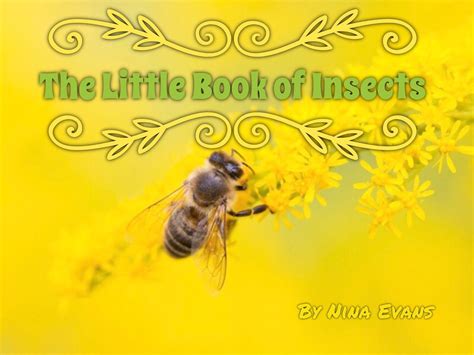 Children's Books: The Little Book of Insects, Picture books for kids ...