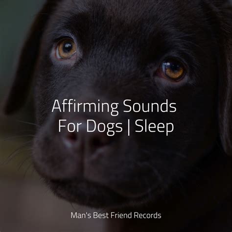 Affirming Sounds For Dogs | Sleep - Album by Music for Calming Dogs | Spotify