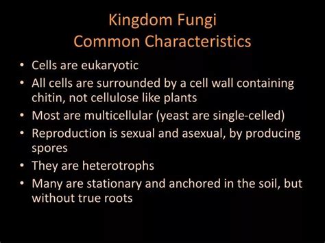 PPT - Kingdom Fungi Common Characteristics PowerPoint Presentation ...