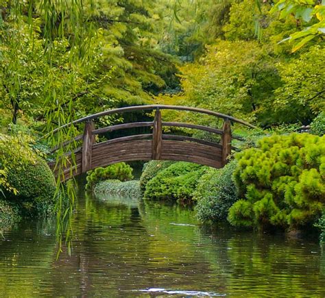 FORT WORTH JAPANESE GARDEN: All You Need to Know BEFORE You Go