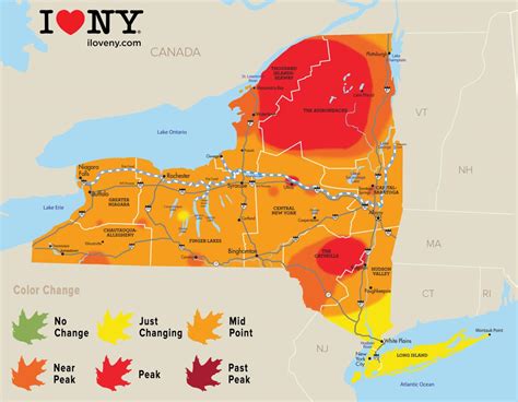 New York state fall foliage report for week of Oct. 10