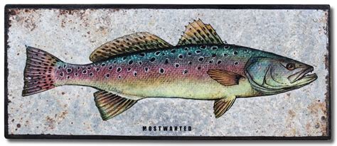 Speckled Trout, colored pencil drawing ... (With images) | Colored pencils, Colored pencil ...