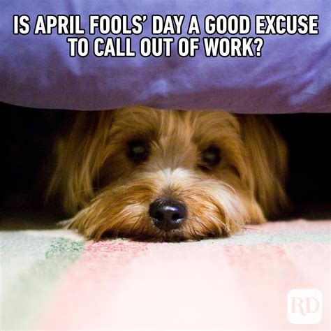 35 Funniest April Fools' Memes of 2024: Funny April Fools' Day Memes