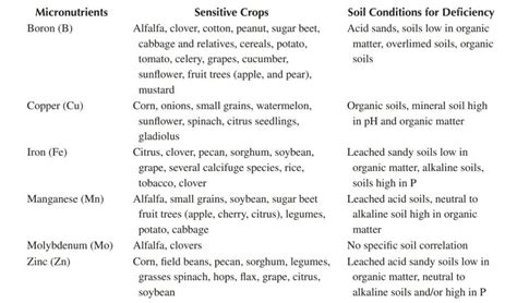 Plant Nutrients in the Soil | 17 Growth Elements | - AGRI TUTORIALS