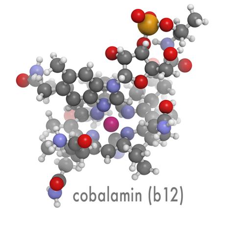 COBALAMIN (ALSO KNOWN AS VITAMIN B12) - Neuroneeds