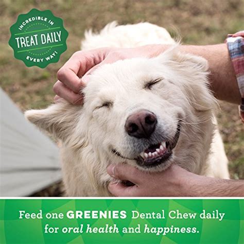 Best Dog Dental Care: A Guide to Cleaning Dog Teeth