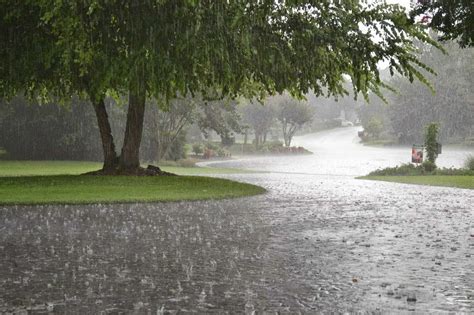 How Heavy Rainfall Can Affect Your Plumbing - Miller's Services