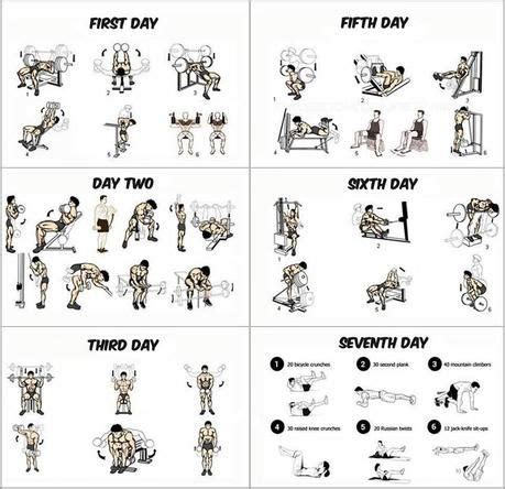 Gym Workout Program For Beginners - Paperblog | Weekly workout plans, 7 ...