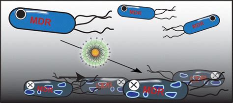 Gold NPs kill MDR bacteria – National Nanotechnology Center (NANOTEC)