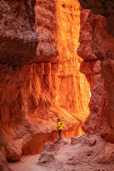 6+ JAW-DROPPING Hikes at BRYCE CANYON NATIONAL PARK