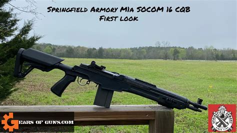 Springfield m1a socom cqb 308 review - ninjatide