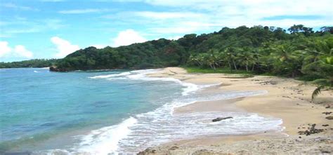 Purple Turtle Beach Dominica Holidays Tour Travel Lodging.