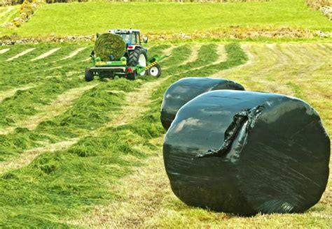 Archive: Tips for making good quality baled silage - 30 November -0001 Free