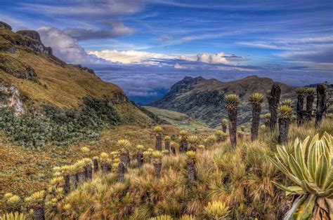 Colombia Mountains