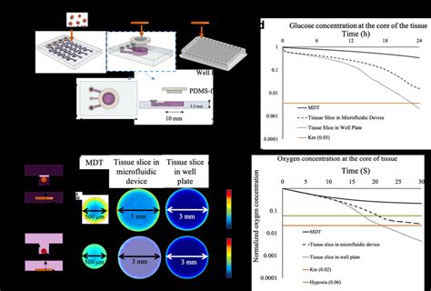 Design and operation of the microfluidic devices. (a) Schematic... | Download Scientific Diagram