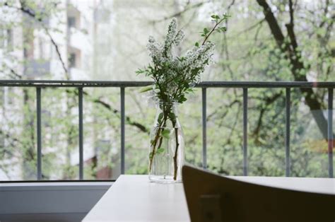 Free Images : branch, plant, house, flower, glass, home, vase ...