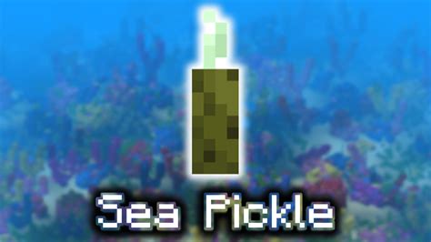 Sea Pickle - Wiki Guide - 9Minecraft.Net