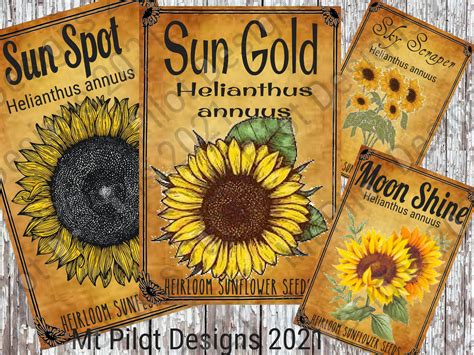 Vintage Style SUNFLOWER Seed Packets JPG Digital Download - Etsy