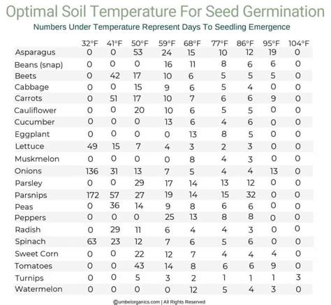 Vegetable Seed Germination Chart