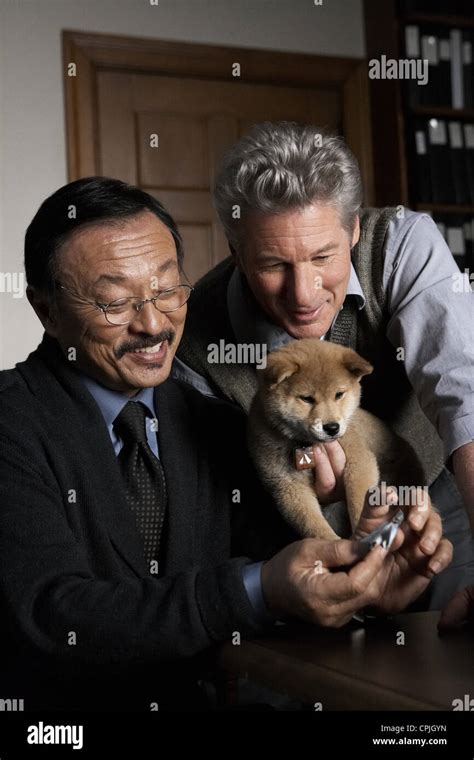 Hachiko: A Dog's Story Stock Photo - Alamy