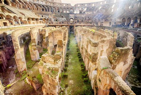 Ancient Colosseum Underground Tour with Gladiator's Arena, Roman Forum and Palatine Hill - Rome ...