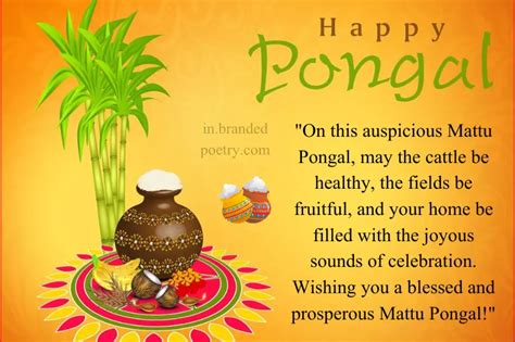 Happy Pongal Festival Wishes 2024 - Pongal Greeting Quotes