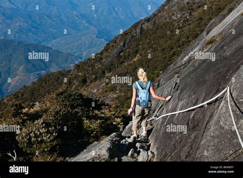 Climber descending the rockface of Mt Kinabalu. Kinabalu National Park ...