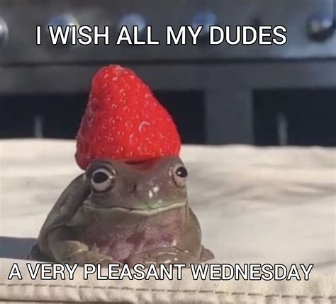 I really wish you all a nice day | /r/wholesomememes | It Is Wednesday My Dudes | Know Your Meme