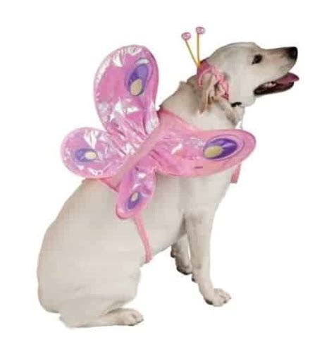 Pink Butterfly Dog Costume - Pet Costume Center