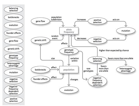 Solved Mechanisms of evolution. Explain the flow chart. How | Chegg.com