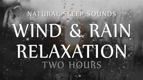 Wind and Rain Relaxation Two Hours Natural Sleep Sounds (White Noise for Sleep, Study ...