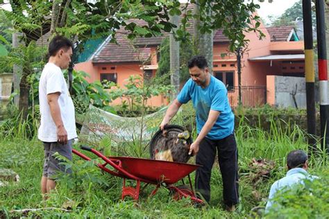 Contoh Proposal Kerja Bakti Di Masyarakat – Lukisan