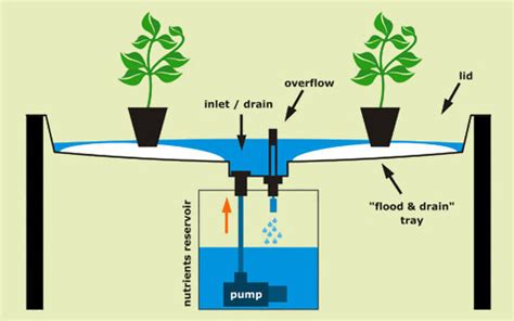 This Is Why Ebb And Flow System Works Perfectly – Humboldts Secret Supplies