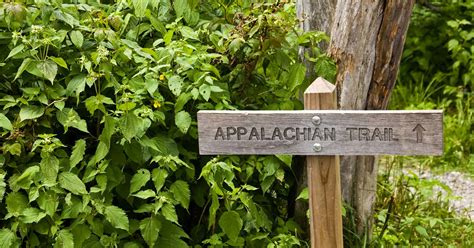 The Appalachian Trail Smoky Mountains portion of Tennessee