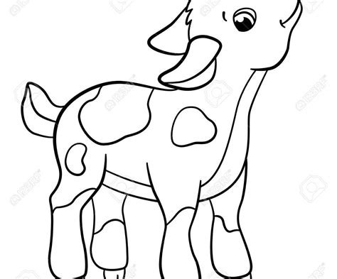 Baby Goat Drawing | Free download on ClipArtMag