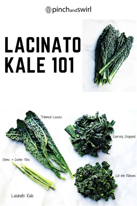 Lacinato Kale 101 + 18 Recipes to Enjoy It! - Pinch and Swirl