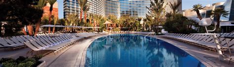 Aria Hotel Pool - Information & Hours | Vegas.com